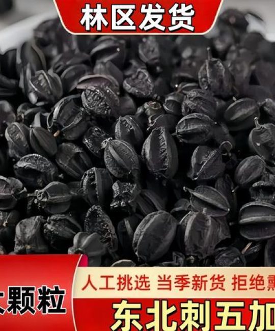 刺五加与五加皮的区别：别再混淆了，药用功效完全不同