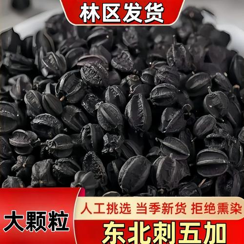 刺五加与五加皮的区别:别再混淆了,药用功效完全不同 刺五加与五加皮的区别:别再混淆了,药用功效完全不同
