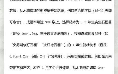 石榴树嫁接最佳时间与核心技术全解析