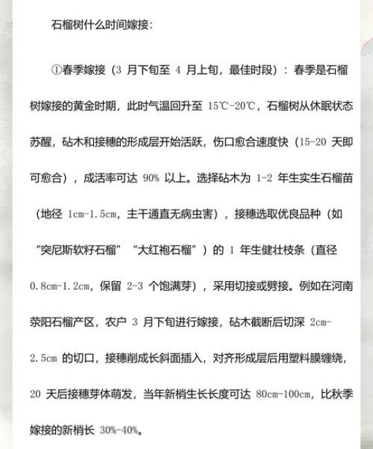 石榴树嫁接最佳时间与核心技术全解析