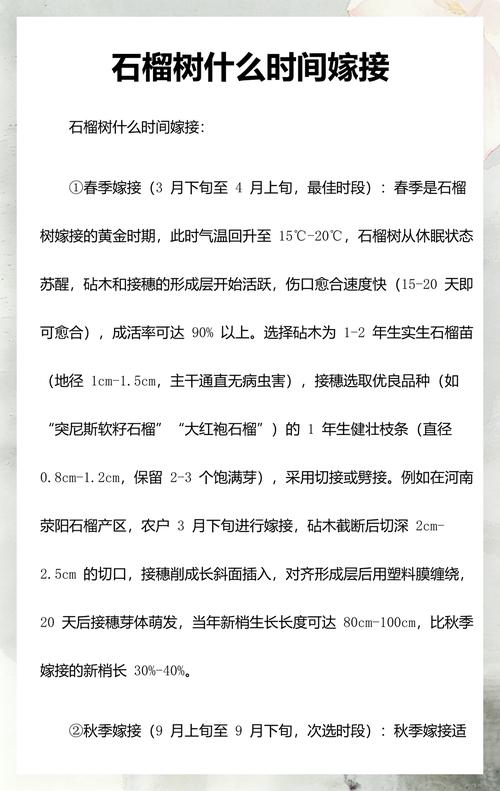 石榴树嫁接最佳时间与核心技术全解析 春季与秋季是石榴树嫁接的黄金窗口期