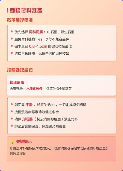 石榴树嫁接最佳时间与核心技术全解析 石榴树嫁接精准操作流程与关键节点控制