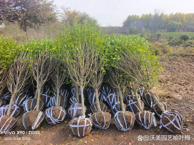 价格快速参考