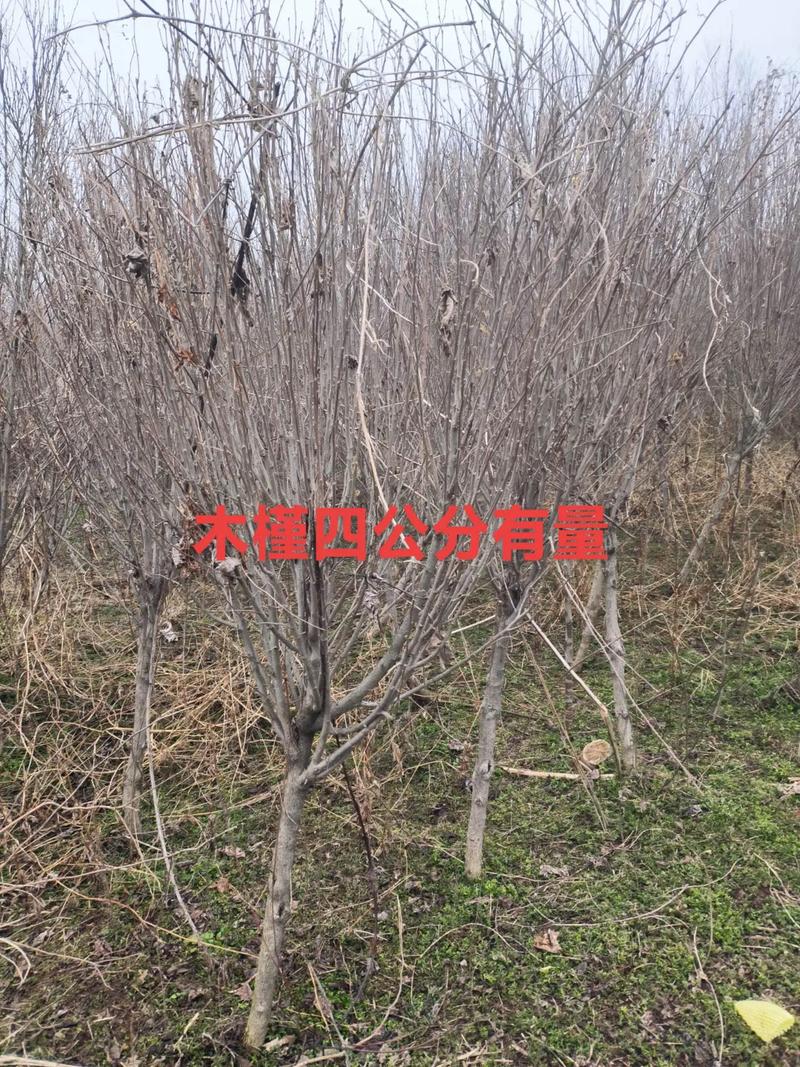 综合价格参考表