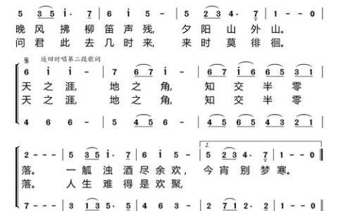 朴树（黄榉）移栽与庭院养护全指南：树形·遮荫·规格·支撑·修剪