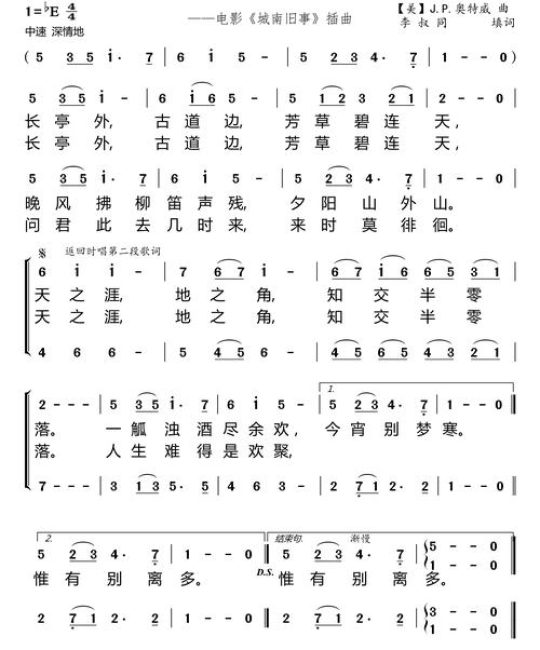 朴树（黄榉）移栽与庭院养护全指南：树形·遮荫·规格·支撑·修剪