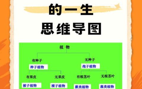 菊花种子是怎么来的？从授粉到播种的全流程指南