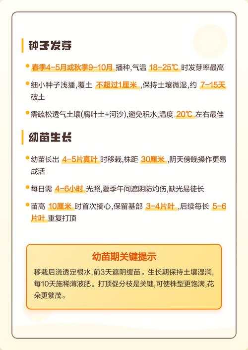 盆栽与地栽选择决策：3个判断标准