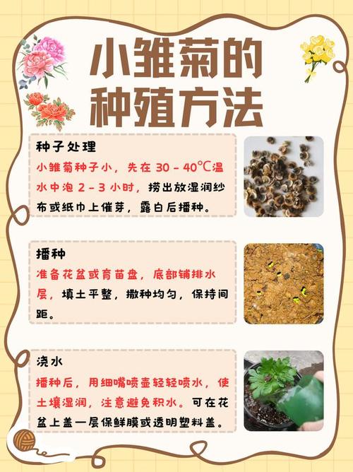 总结：3个核心可执行动作