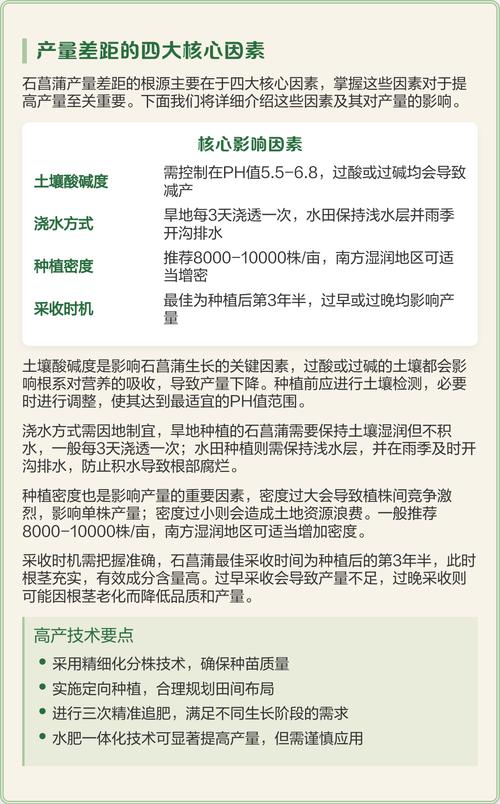 石菖蒲种植一亩产多少?详解高产栽培技术与成本收益分析 缓苗管理:遮阴保湿,促进新根