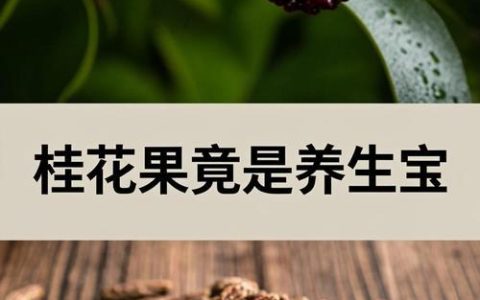 桂花结的果实有什么作用呢？——食用、药用与安全性全面科普