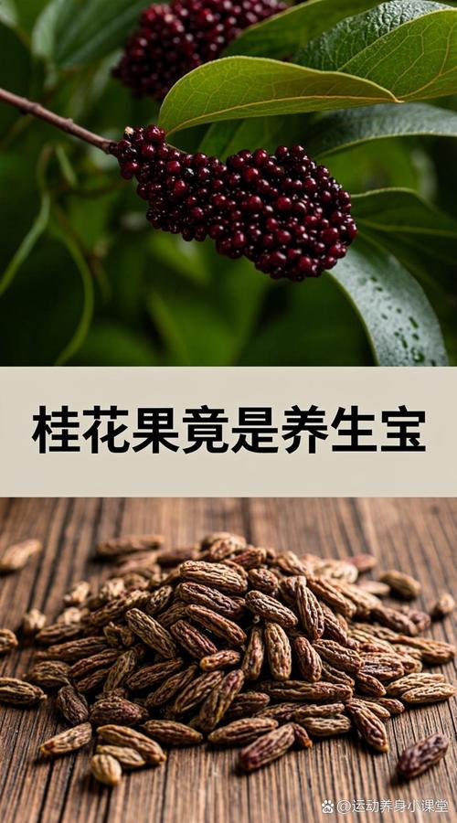 桂花结的果实有什么作用呢?——食用、药用与安全性全面科普 一、安全性声明:并非所有桂花果都适合直接食用