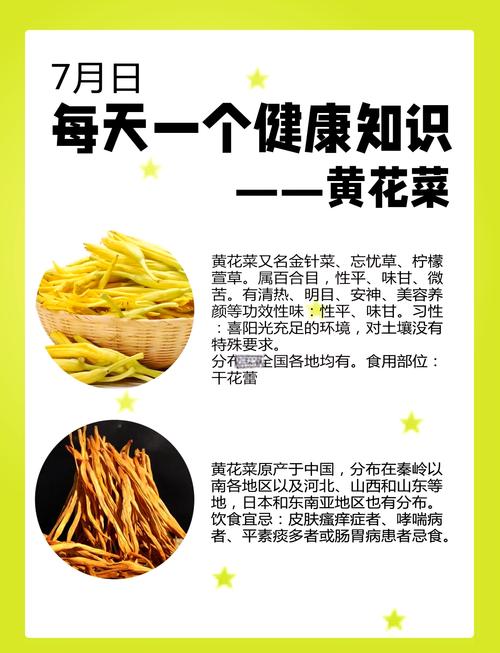 黄花菜与鸡蛋的完美搭配:从园艺种植到健康食用指南 四、结语