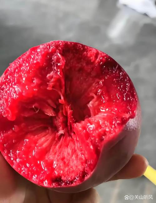 6月上旬成熟的桃子品种推荐及种植指南 6月上旬成熟的桃子品种推荐及种植指南
