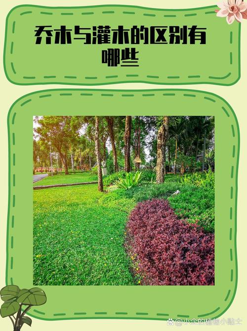 园林绿化乔木与灌木怎么区别?从六大维度透彻对比,助你选苗不踩坑 场景化选择建议