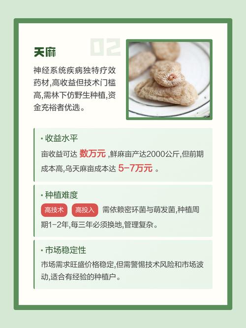 常见问题（FAQ）