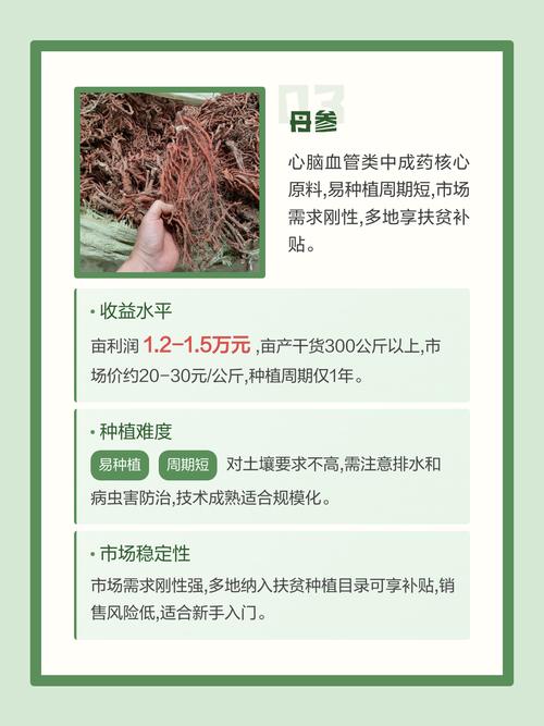 药用与安全提示：重楼种植注意事项