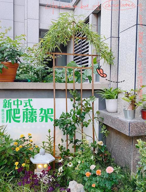 藤本攀爬植物栽培全指南:攀附方式、支架牵引、花墙棚架、修剪控形、根系与墙体安全 总结:打造安全又美观的金银花墙