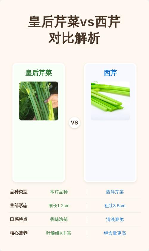 一、六维度对比表格