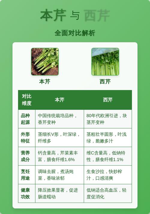 二、维度深度解析