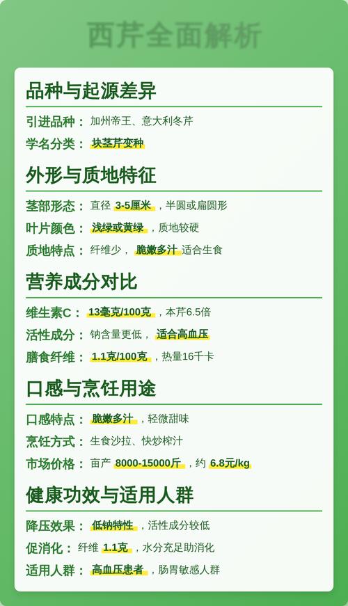 三、场景化选择建议