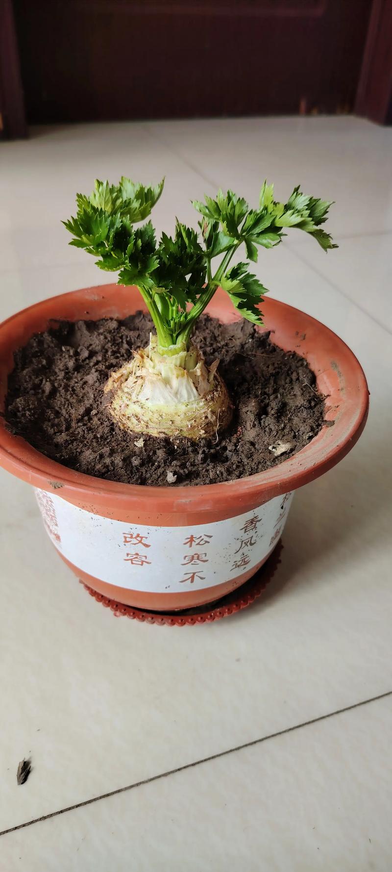 二、土壤环境