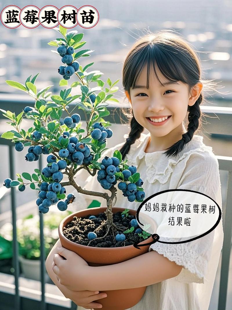 蓝莓树家里可以种吗?家庭种植可行性分析与养护指南 五、常见问题与预防
