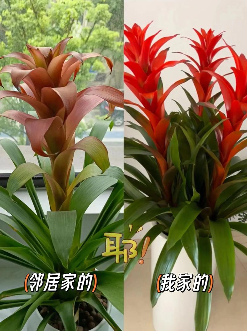 浇水