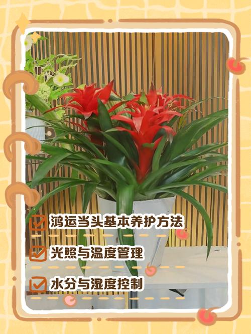 施肥