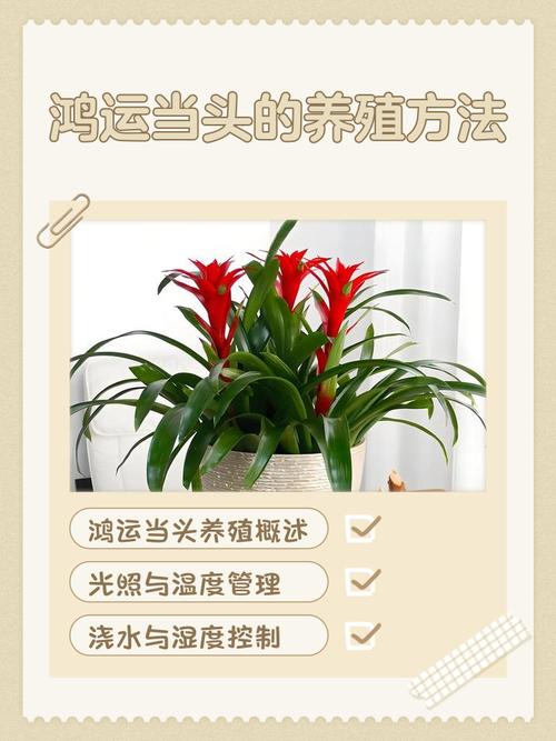 修剪