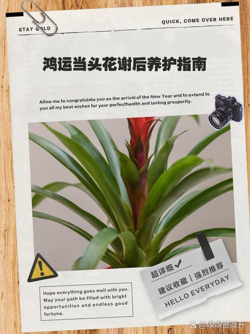 越冬越夏