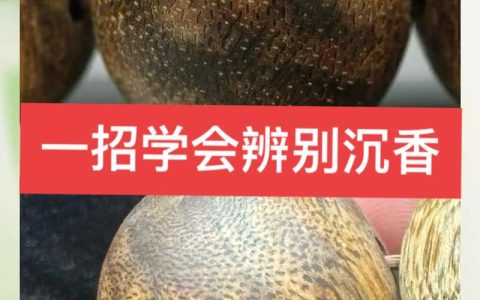 沉香是木香吗？一文分清两种植物，园艺爱好者必看