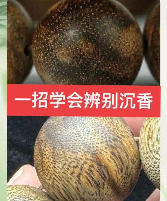 沉香是木香吗？一文分清两种植物，园艺爱好者必看