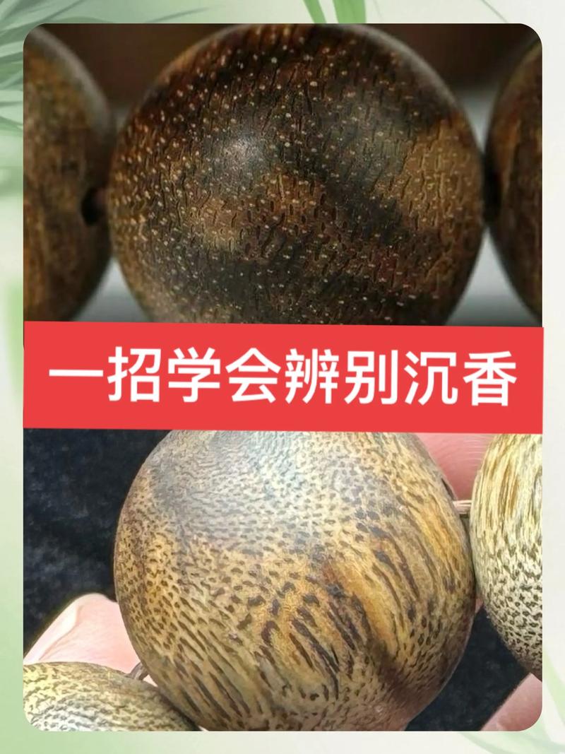 一、科属与形态：根本上的不同