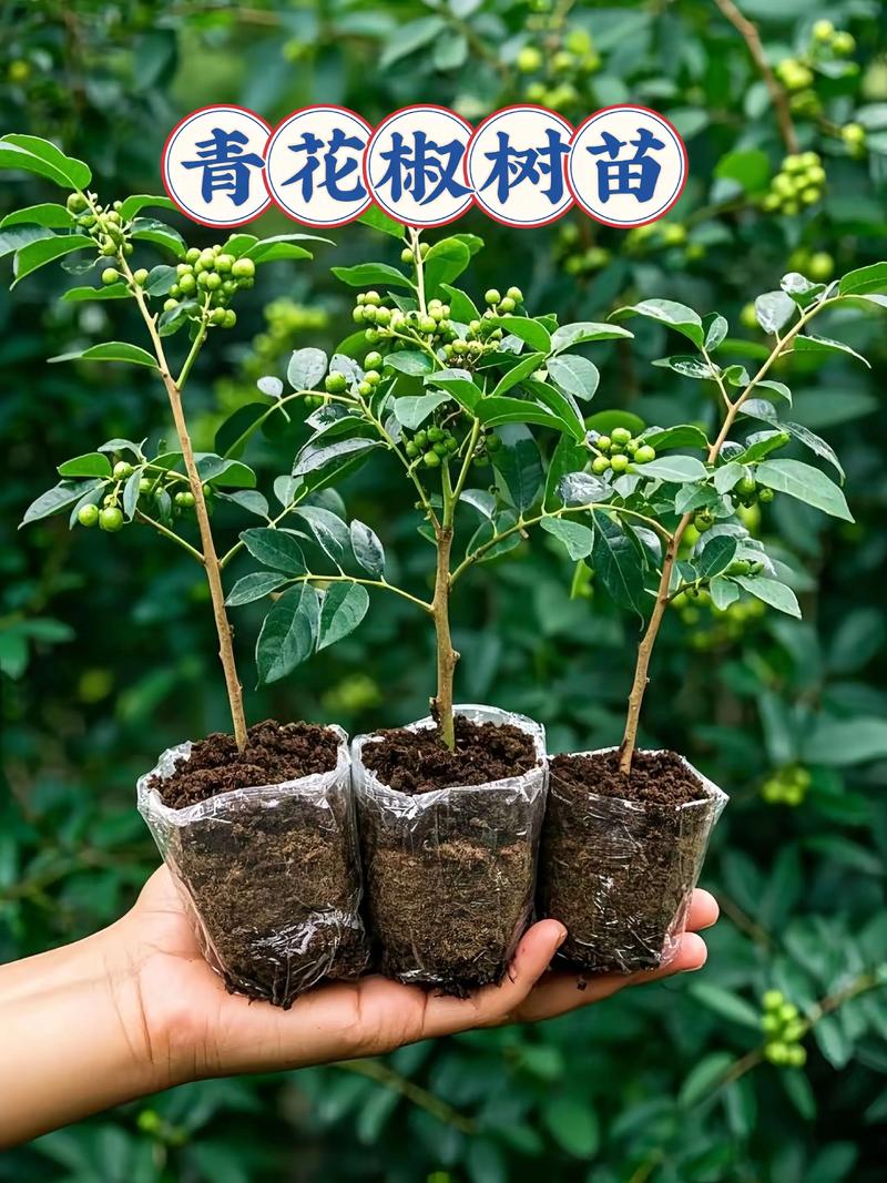 总结