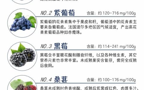 一颗蓝莓的花青素含量并非固定值，而是因品种、成熟度、种植条件而异，但通常蓝莓是花青素含量最高的水果之一，对于新手种植，优先选择高花青素品种（如南高丛系列中的“奥尼尔”或“薄雾”）的嫁接苗，嫁接口愈合良好、根系发达且苗龄1-2年的成品苗，是获得高花青素蓝莓的基础。