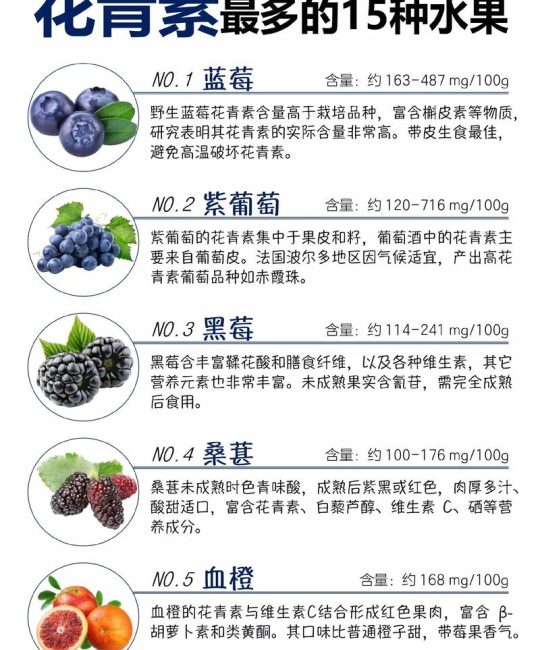 一颗蓝莓的花青素含量并非固定值，而是因品种、成熟度、种植条件而异，但通常蓝莓是花青素含量最高的水果之一，对于新手种植，优先选择高花青素品种（如南高丛系列中的“奥尼尔”或“薄雾”）的嫁接苗，嫁接口愈合良好、根系发达且苗龄1-2年的成品苗，是获得高花青素蓝莓的基础。