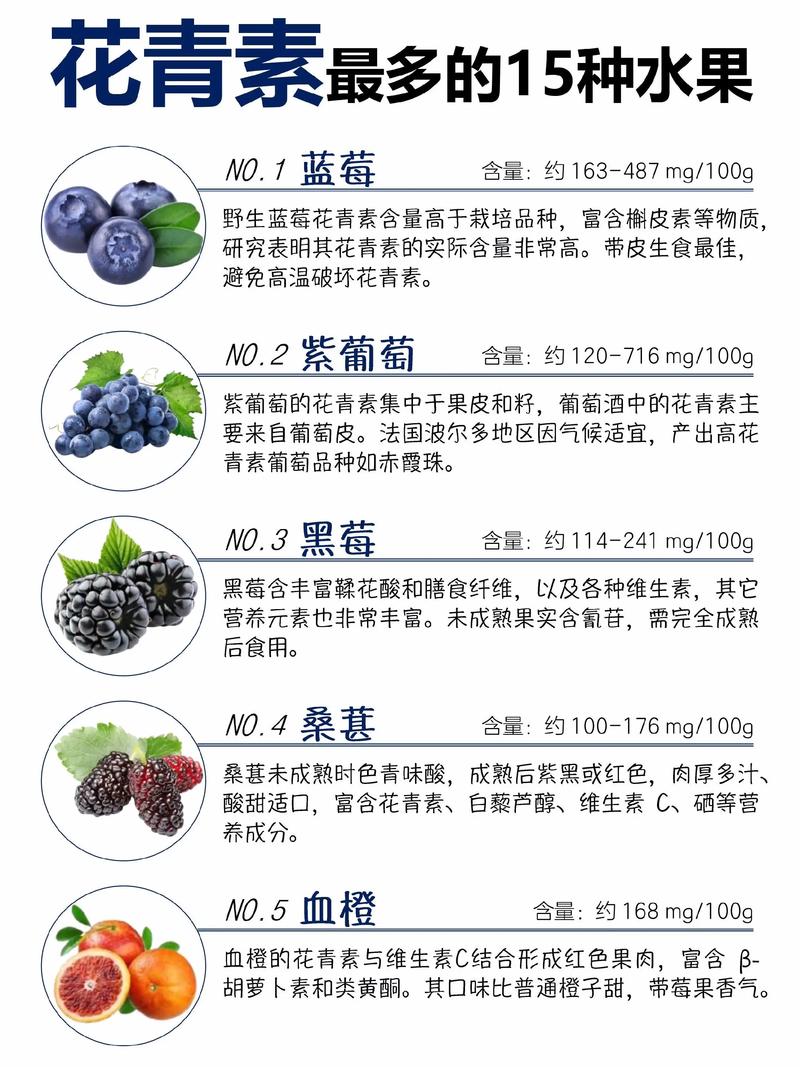 一颗蓝莓的花青素含量并非固定值,而是因品种、成熟度、种植条件而异,但通常蓝莓是花青素含量最高的水果之一,对于新手种植,优先选择高花青素品种(如南高丛系列中的“奥尼尔”或“薄雾”)的嫁接苗,嫁接口愈合良好、根系发达且苗龄1-2年的成品苗,是获得高花青素蓝莓的基础。 品种决定花青素含量上限和适种地区