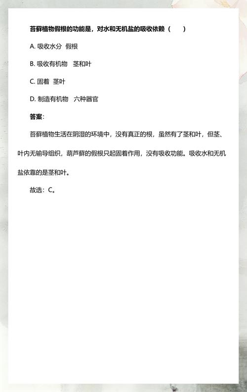 苔藓植物依靠什么吸收水分? 吸水速率与调节机制