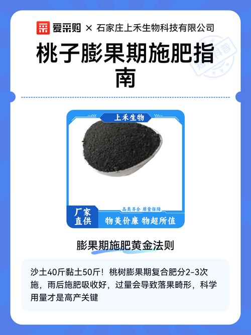 桃膨果期怎么施肥?家庭桃树养护全攻略 光照:充足直射光是膨果的“隐形肥料”