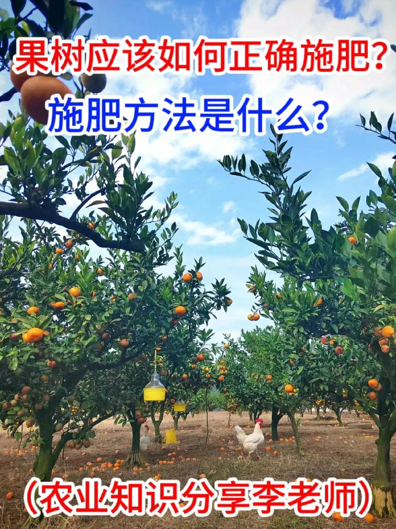 桃膨果期怎么施肥?家庭桃树养护全攻略 修剪:疏掉拥挤果,夏剪控制旺长,让养分集中到果实上