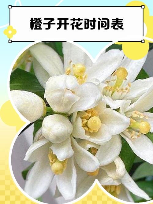 总结