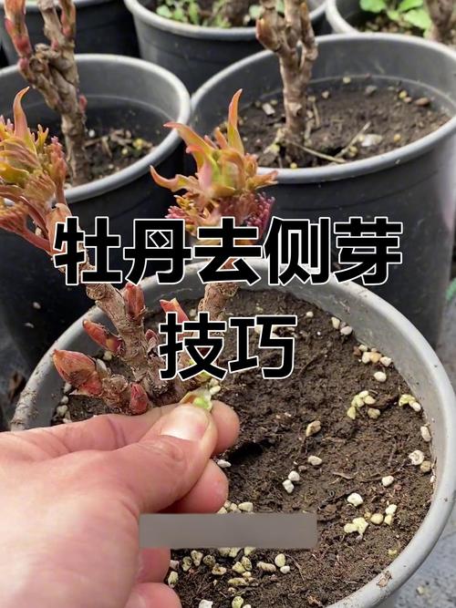 七、FAQ