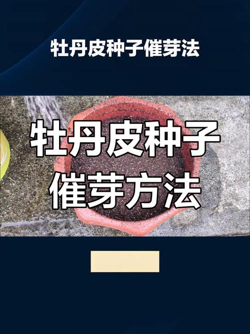 总结
