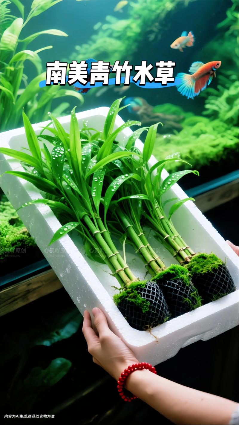金鱼缸配什么水草最好养?沉水植物参数与搭配方案 最适合金鱼的水草有哪些?——三大沉水植物对比