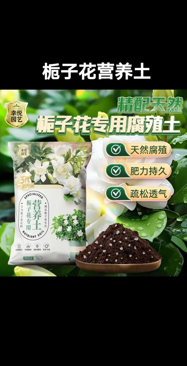 栀子花需要什么土养殖?土壤配制全攻略 总结
