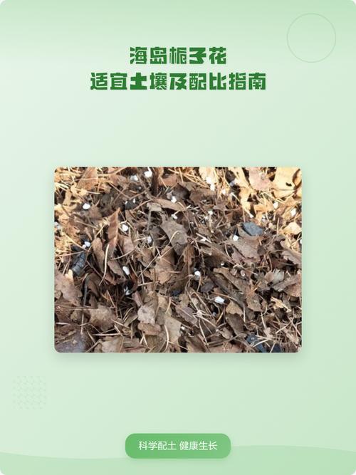 栀子花需要什么土养殖?土壤配制全攻略 常见土壤问题排查
