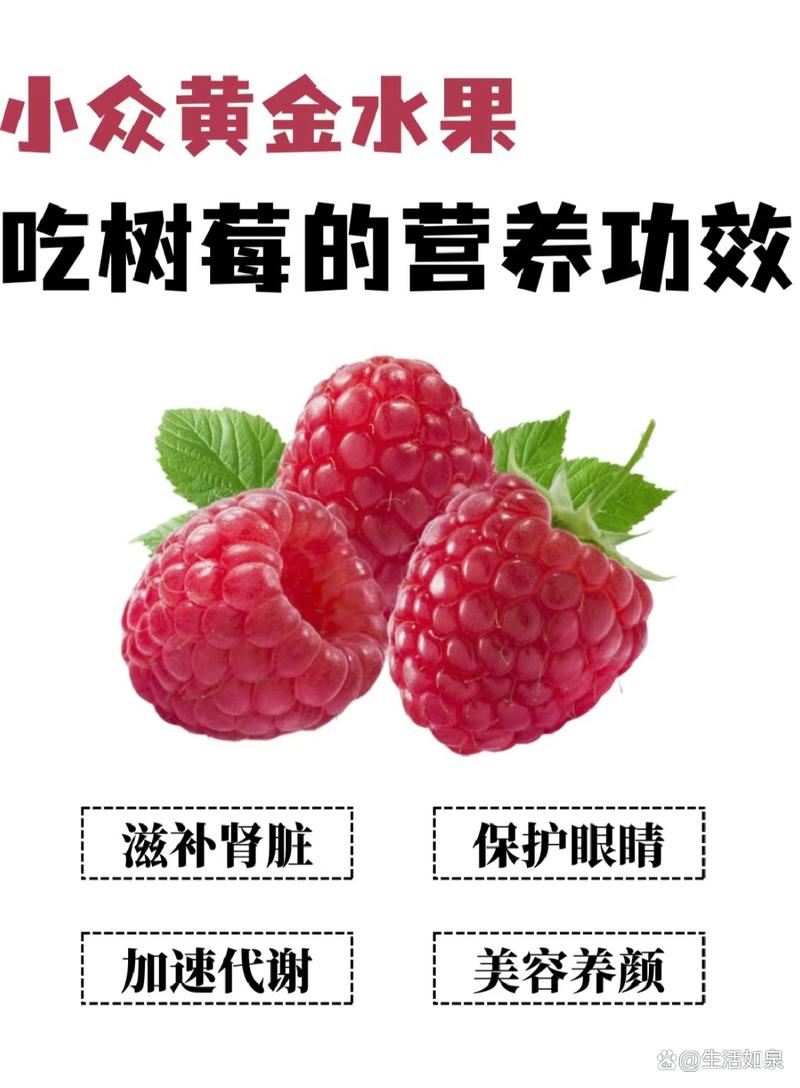 树莓和覆盆子怎么区分?一篇让你彻底搞懂的6维对比指南 场景化选择建议
