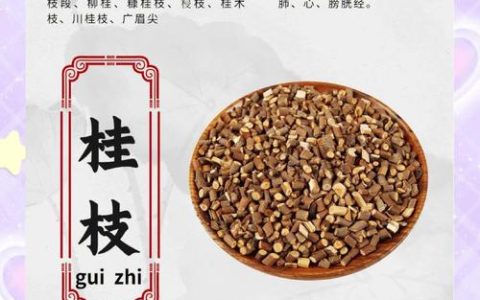 桂花籽有什么功效和作用？食用安全性与药用价值科普