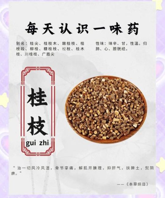 桂花籽有什么功效和作用？食用安全性与药用价值科普